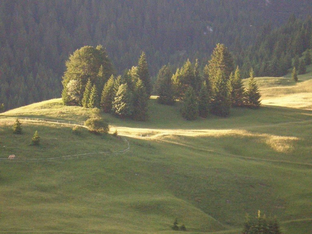 Отель Alpenhof "Alt Laehn" Экстерьер фото